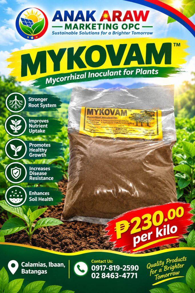 Mykovam
