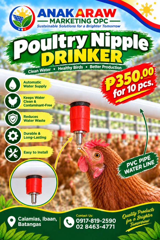 Poultry nipple drinker