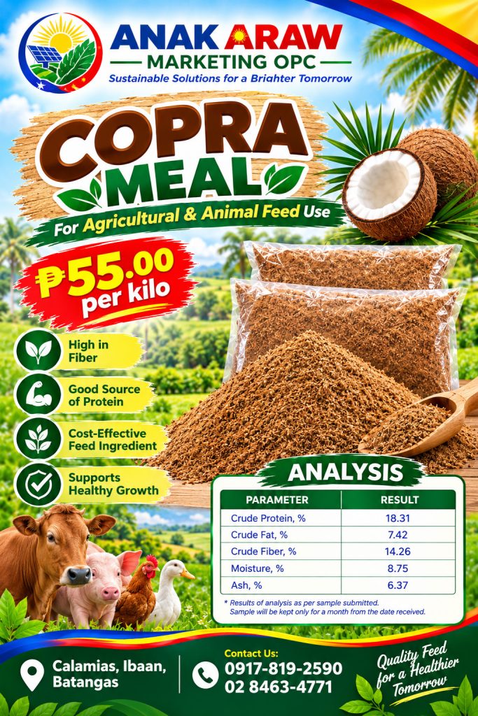 Copra Meal