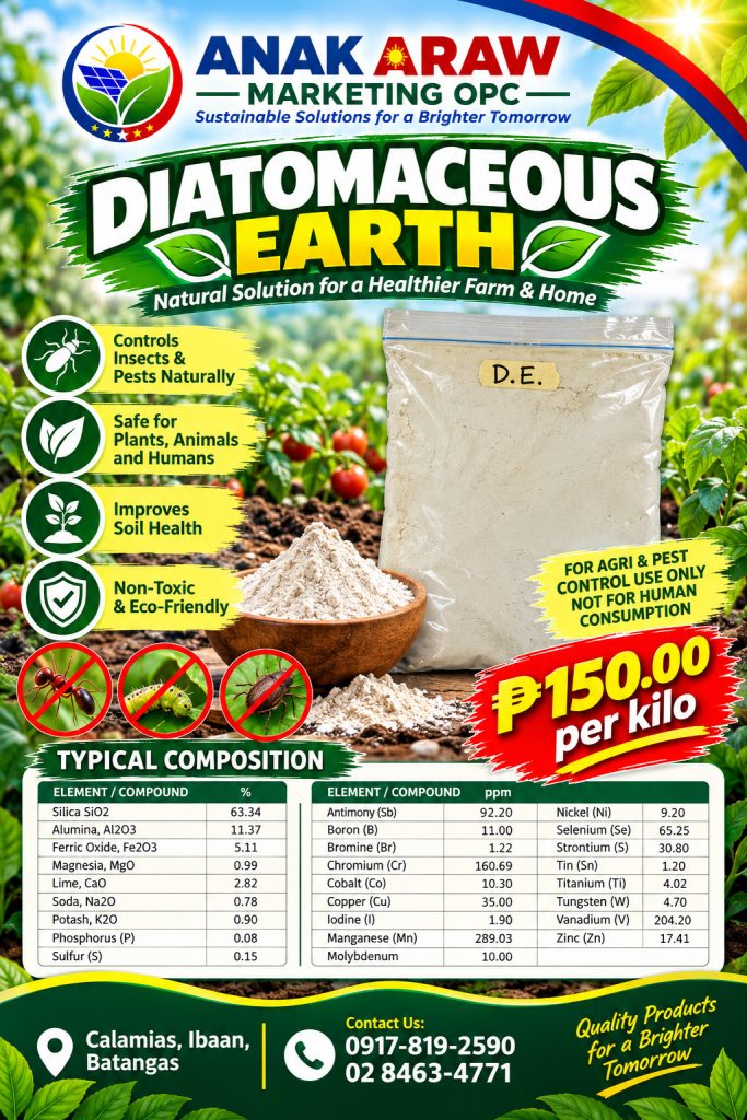 Diatomaceous Earth