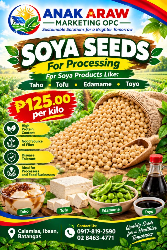 Soya seeds for processing